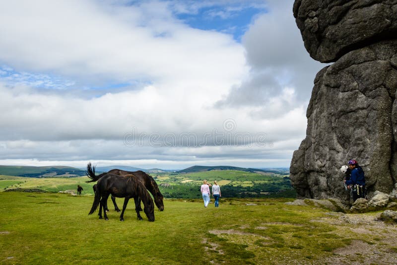 Paarden en klimmers bij Haytor-Dal, Dartmoor royalty-vrije stock fotografie Paarden en klimmers bij Haytor-Dal, Dartmoor royalty-vrije stock fotografie