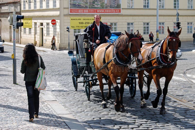 Paarden en Vervoer, Centraal Praag, Tsjechische Republiek royalty-vrije stock afbeeldingen Paarden en Vervoer, Centraal Praag, Tsjechische Republiek royalty-vrije stock afbeeldingen