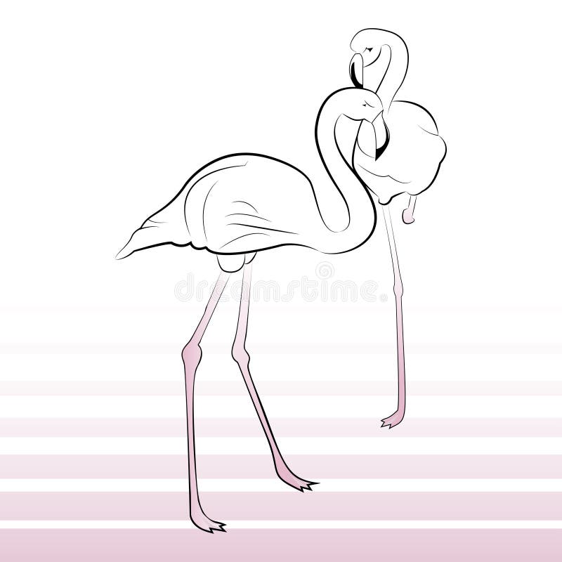 Paare der rosa Flamingos lizenzfreie abbildung Paare der rosa Flamingos lizenzfreie abbildung