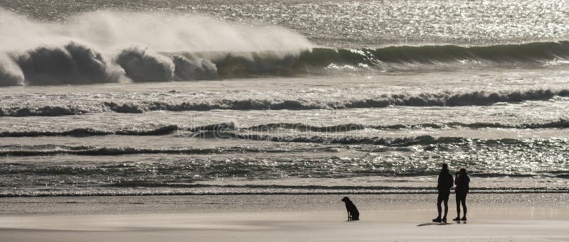 Paare mit dem Hund, der auf Strand steht stockbilder Paare mit dem Hund, der auf Strand steht stockbilder