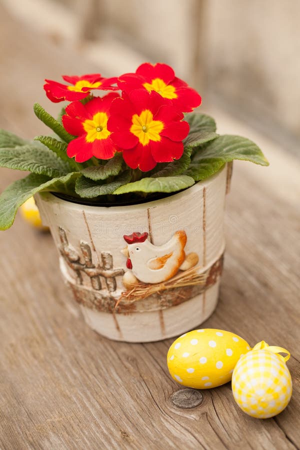 Paaseieren en primula bloem stock afbeeldingen