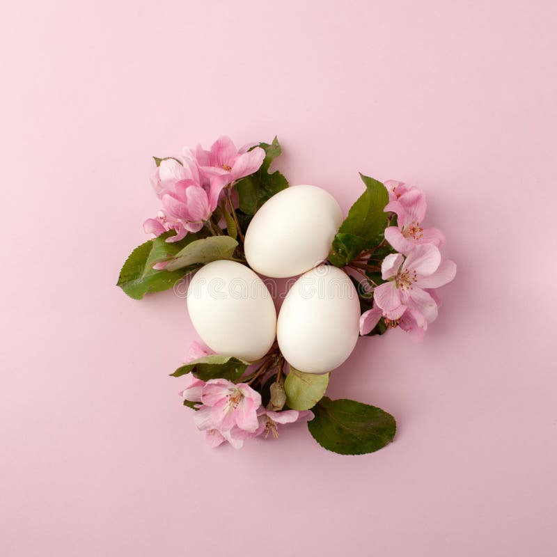 Paaseieren en roze bloemen op witte achtergrond Pasen-de nestvlakte legt, hoogste mening, concept de lente, vrouwelijkheid en sch royalty-vrije stock foto's Paaseieren en roze bloemen op witte achtergrond Pasen-de nestvlakte legt, hoogste mening, concept de lente, vrouwelijkheid en sch royalty-vrije stock foto's