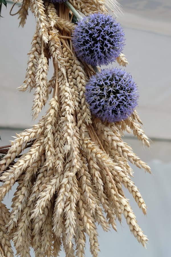 pacco di grano con il fiore fotografia stock libera da diritti pacco di grano con il fiore fotografia stock libera da diritti