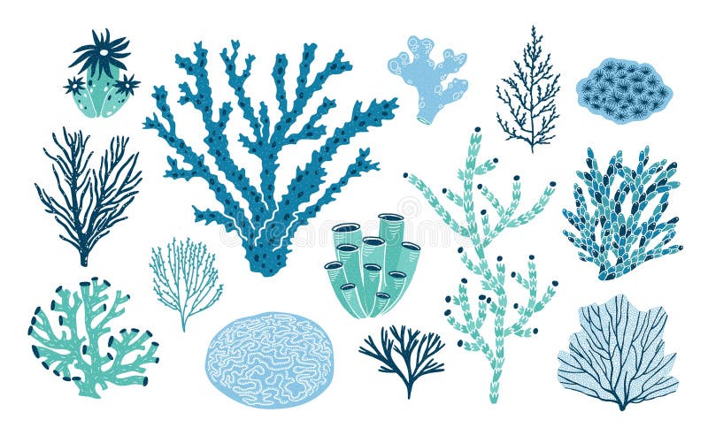 Pacco di vari coralli ed alga o alghe isolati su fondo bianco Insieme delle specie subacquee blu e verdi illustrazione vettoriale