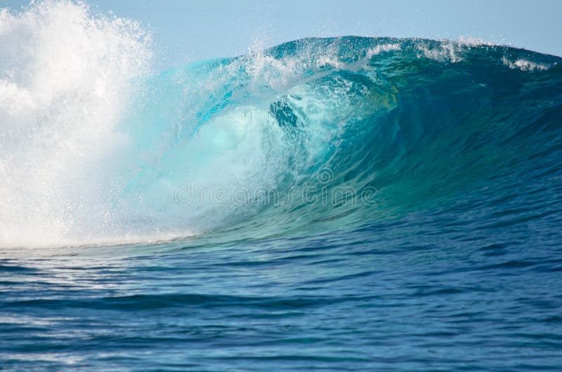 Pacific big wave