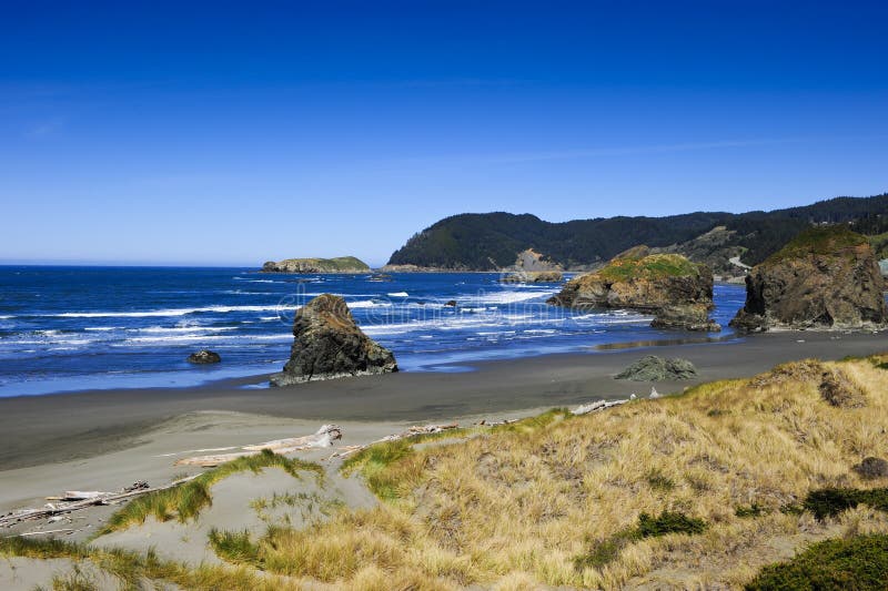 Waves rolling to shore on the Pacific coast