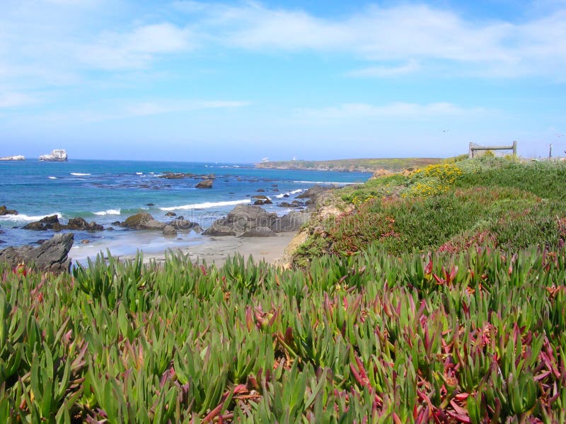 Pacific Coast stock image. Image of water, pacific, west 48648883