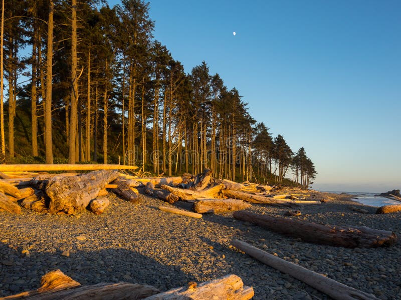 Pacific Coast Washington State Stock Photo Image of meets, blue 91526284