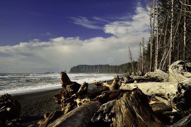 Pacific northwest coastal beach