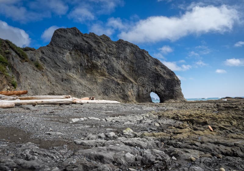 Pacific Ocean Northern Washington State Stock Image Image of pacific
