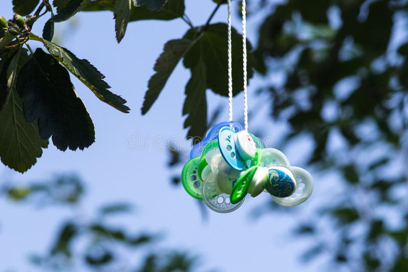 Pacifiers in a tree