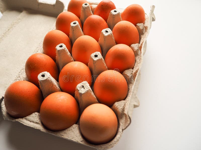 Pack of brown fresh raw chicken eggs in a white carton egg box on a white background close up