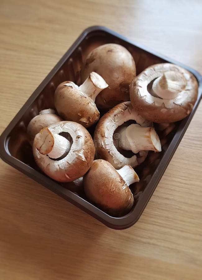 Pack of Closed Cup Mushrooms Stock Image Image of retail, packaging