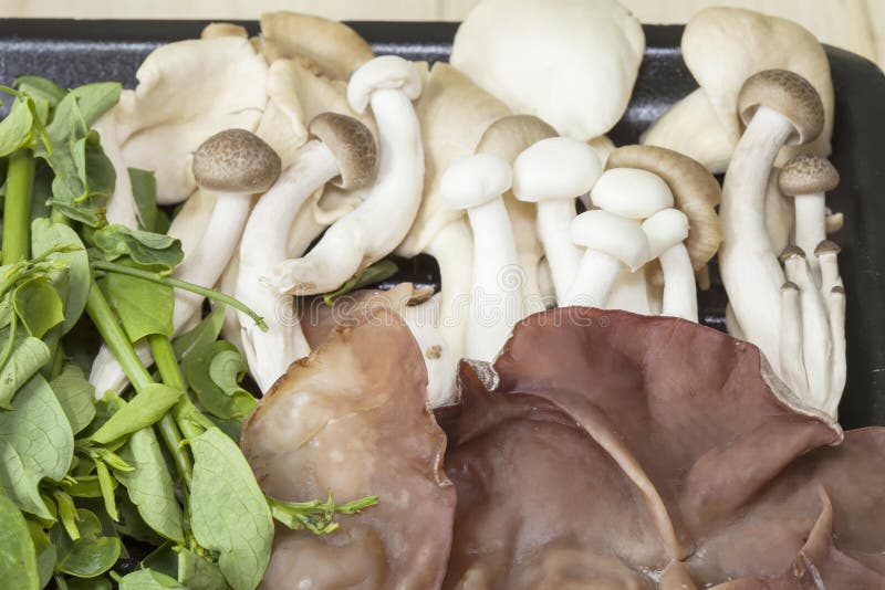 Pack Mushrooms and Vegetable Stock Photo Image of dinner, common