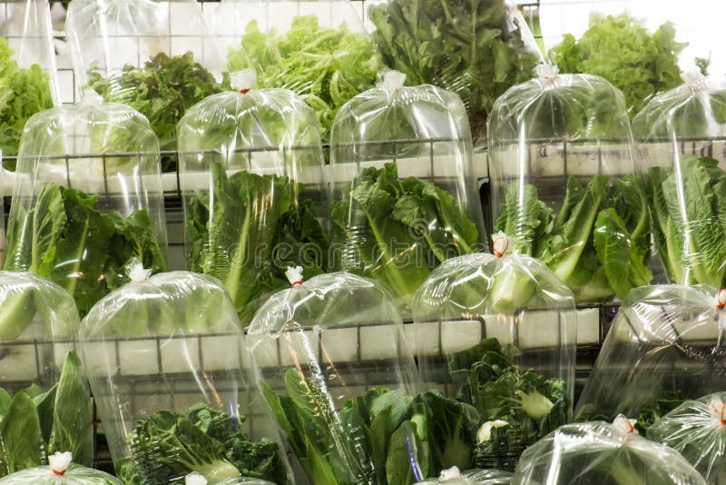 Pack of Vegetables in Plastic Bag Stock Photo Image of sealed, salad