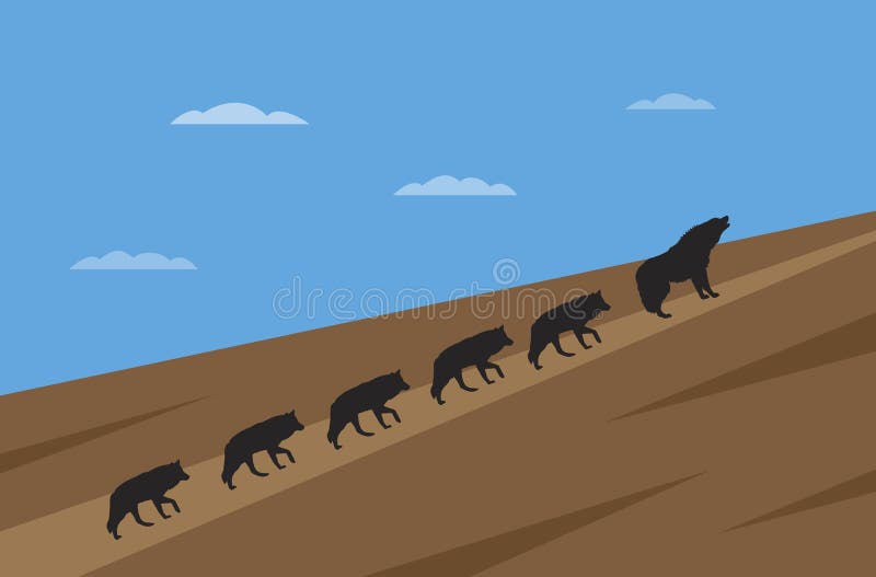 Pack of Wolfes Leadership Concept Stock Vector Illustration of