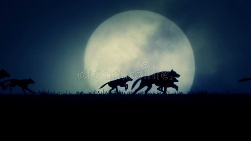 A Pack of Wolves Running in a Rising Full Moon Background