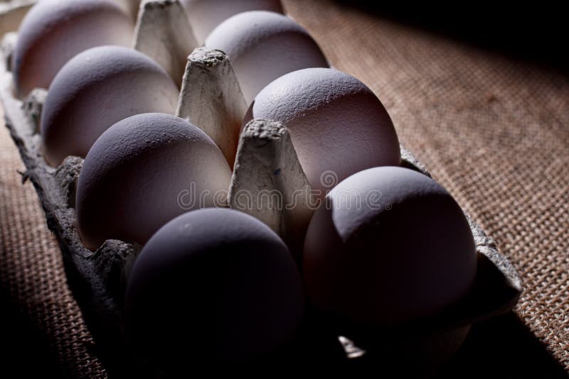 .packed Chicken Eggs Under Side Light. Texture and Hard Shadows Stock