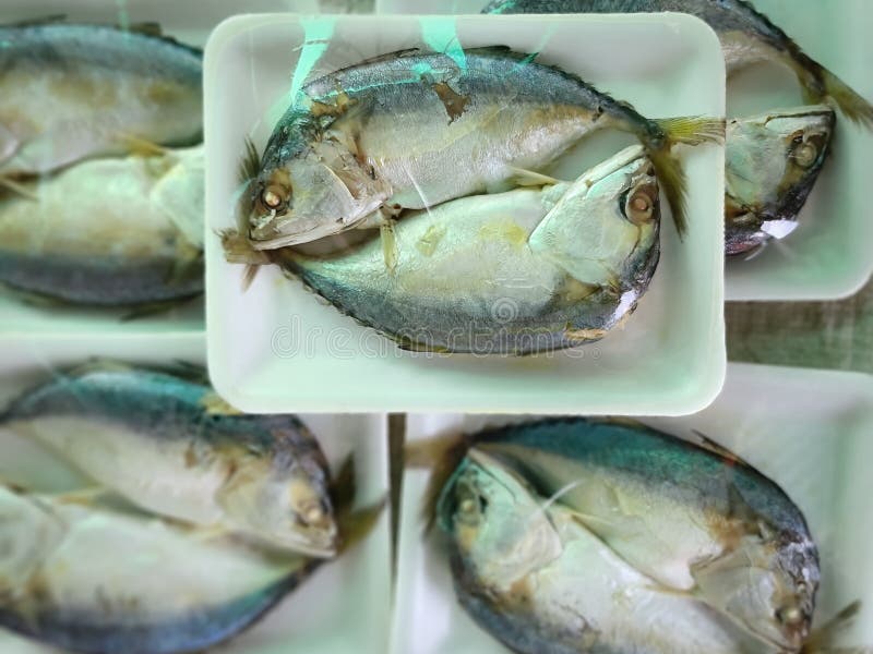 Packed Steamed Mackerel Fish for Sale at Market Stall Stock Photo