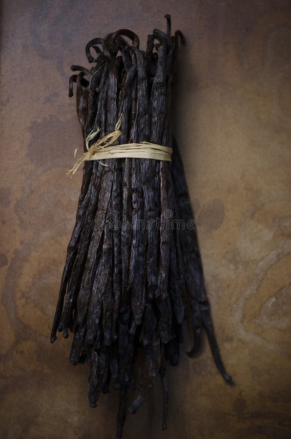 Maço de vagens de baunilha imagens de stock royalty free