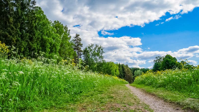 Pad Door Het Veld. Alpenweide Atmosferisch Landschap Met Een Overwegend  Alpenweide. Landschap. Prachtig Wild Landschap Stock Foto - Image of  panoramisch, helder: 176043468