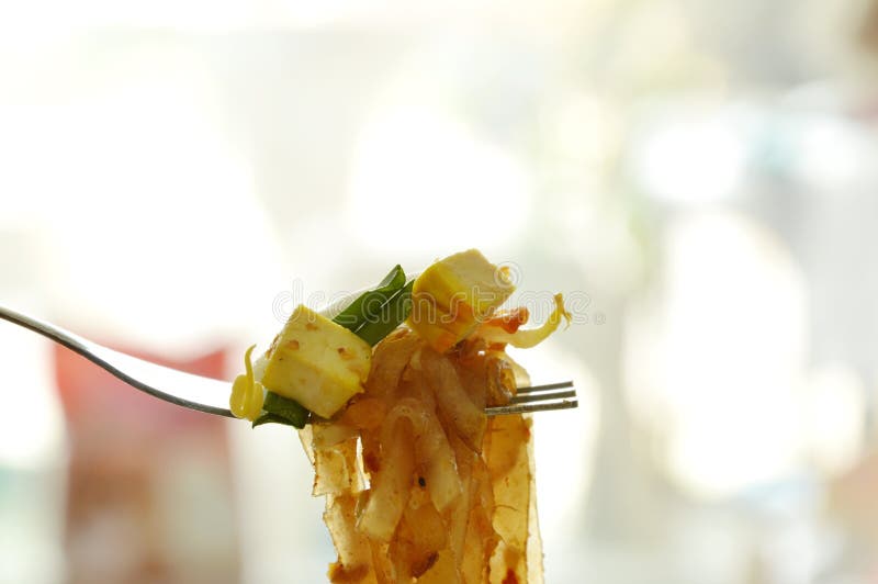 Pad Thai Stir Fried Thin Rice Noodles On Fork Stock Photo Image Of pad-thai-stir-fried-thin-rice-noodles-on-fork-stock-photo-image-of