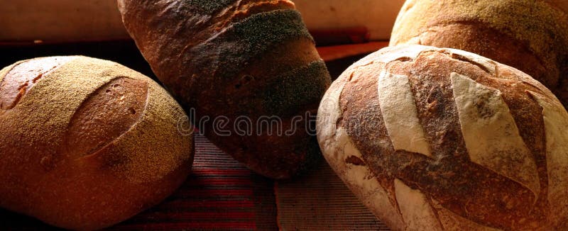 Different kinds of bread in the bakery. Different kinds of bread in the bakery