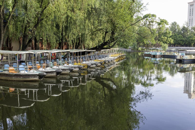 Paddelboote-Reihe am Seetag mit Bäumen stockfoto Paddelboote-Reihe am Seetag mit Bäumen stockfoto
