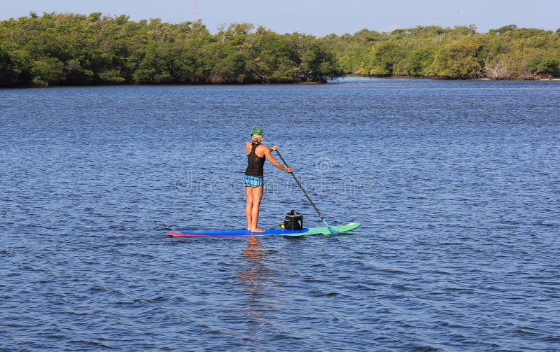 Paddle boarding expert stock photos Paddle boarding expert stock photos