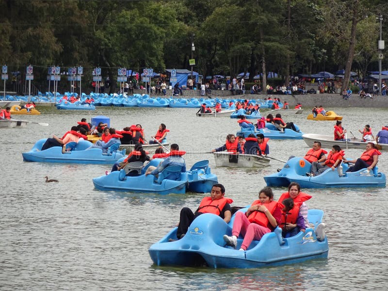 Paddle Boats in Mexico City Editorial Stock Image Image of boating