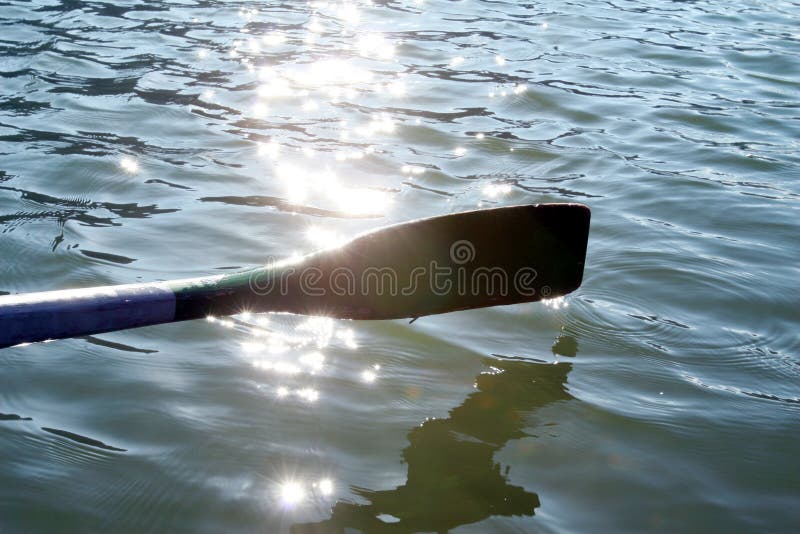 Paddle in water