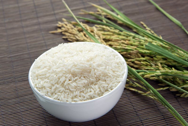 Paddy and rice grain