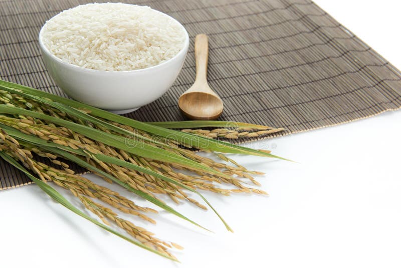 Paddy and rice grain