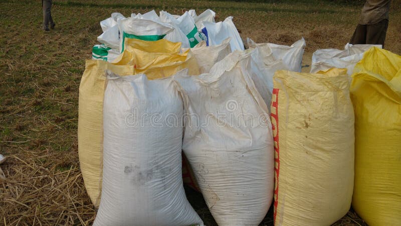 40 Kg Plastic Gunny Bag at Rs 18/piece | gunny sack in Ludhiana | ID:  2853120075173