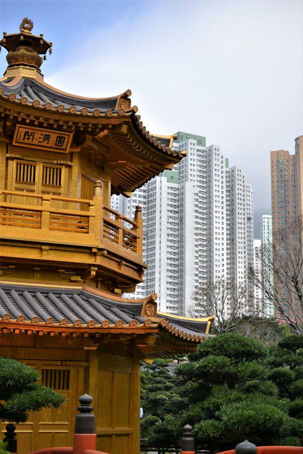 Padiglione dorato con i grattacieli in Nan Lian Garden, Hong Kong fotografia stock libera da diritti Padiglione dorato con i grattacieli in Nan Lian Garden, Hong Kong fotografia stock libera da diritti