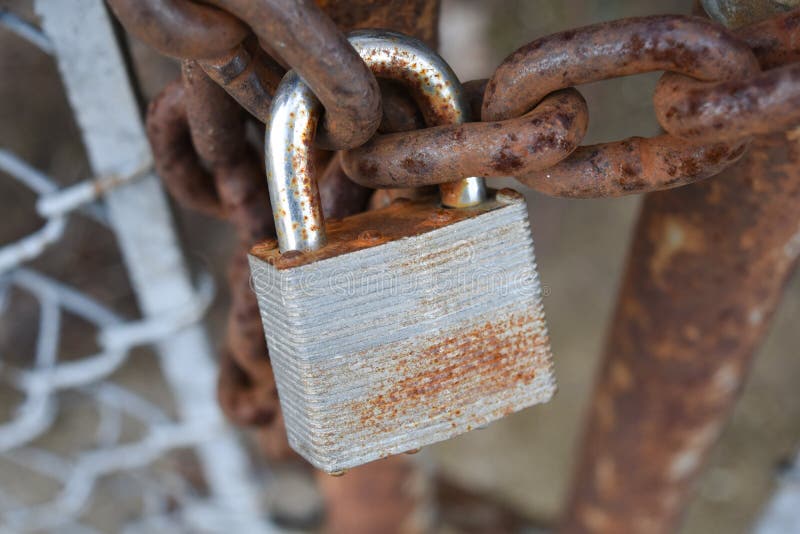 Padlock on chain link gate stock photo. Image of link 69126026