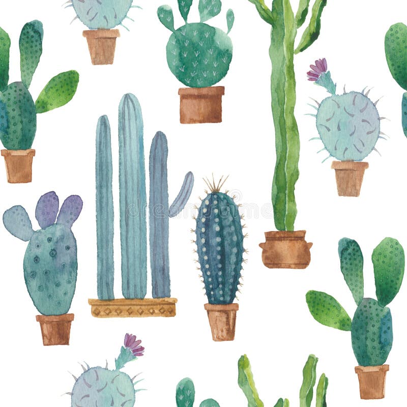 Cacto No Fundo Branco Vetor, Mal Ajustado Tirado Mão Ilustração Stock - Ilustração de mexicano, méxico: 64434754