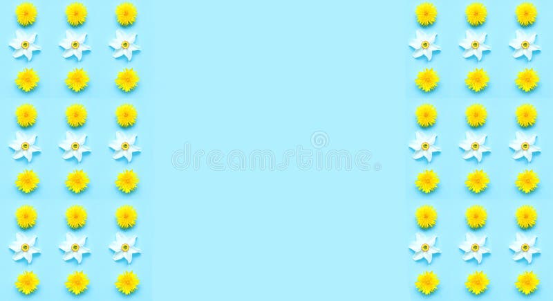 Pattern mit dandelion and daffodil flowers on blue background. Hello Summer concept. Close-up, creative copy space. Pattern mit dandelion and daffodil flowers on blue background. Hello Summer concept. Close-up, creative copy space.