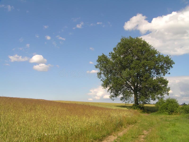 Paesaggio immagini stock Paesaggio immagini stock