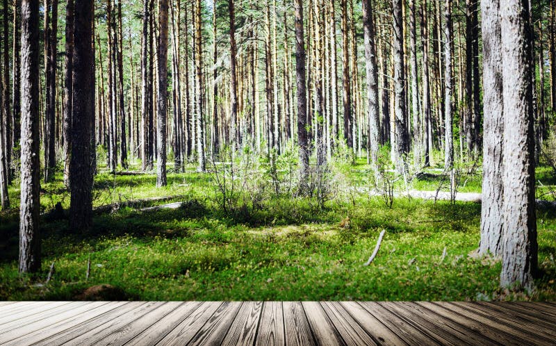 Paesaggio all'aperto del fondo di ecologia immagine stock libera da diritti Paesaggio all'aperto del fondo di ecologia immagine stock libera da diritti