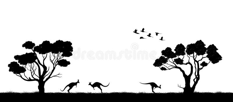 Paesaggio australiano Siluetta nera degli alberi e del canguro su fondo bianco La natura dell'Australia illustrazione vettoriale Paesaggio australiano Siluetta nera degli alberi e del canguro su fondo bianco La natura dell'Australia illustrazione vettoriale