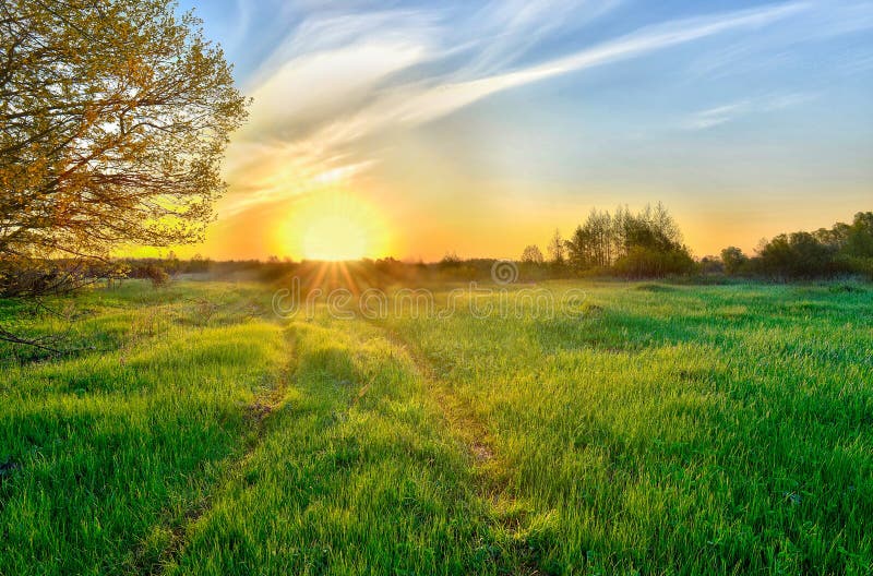 Paesaggio con l'alba sopra il prato immagini stock libere da diritti Paesaggio con l'alba sopra il prato immagini stock libere da diritti