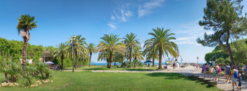 Paesaggio con le palme Pitsunda, Abhasia immagini stock libere da diritti Paesaggio con le palme Pitsunda, Abhasia immagini stock libere da diritti