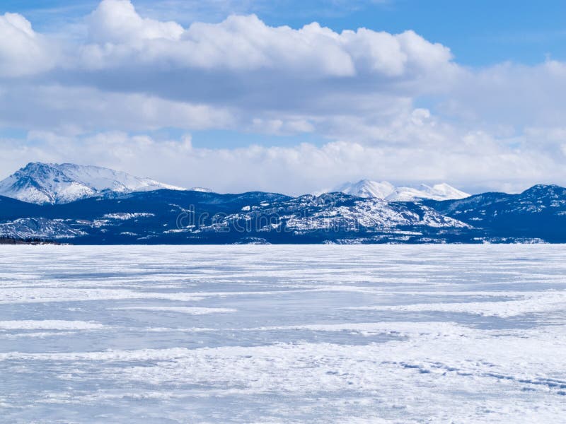 Paesaggio congelato il Yukon Canada di inverno di Laberge del lago