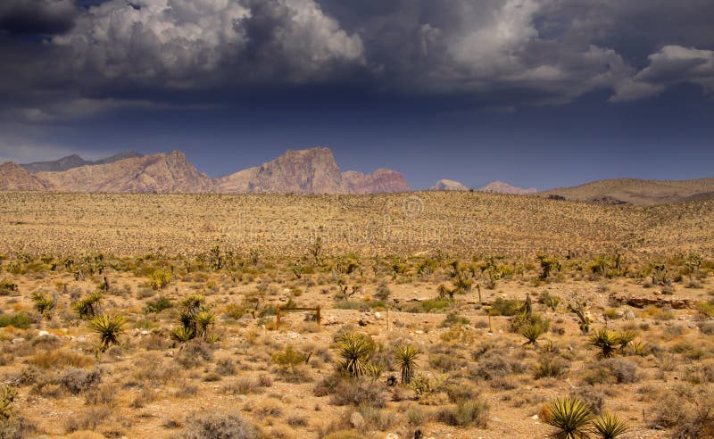 Paesaggio del deserto in Arizona fotografia stock libera da diritti Paesaggio del deserto in Arizona fotografia stock libera da diritti