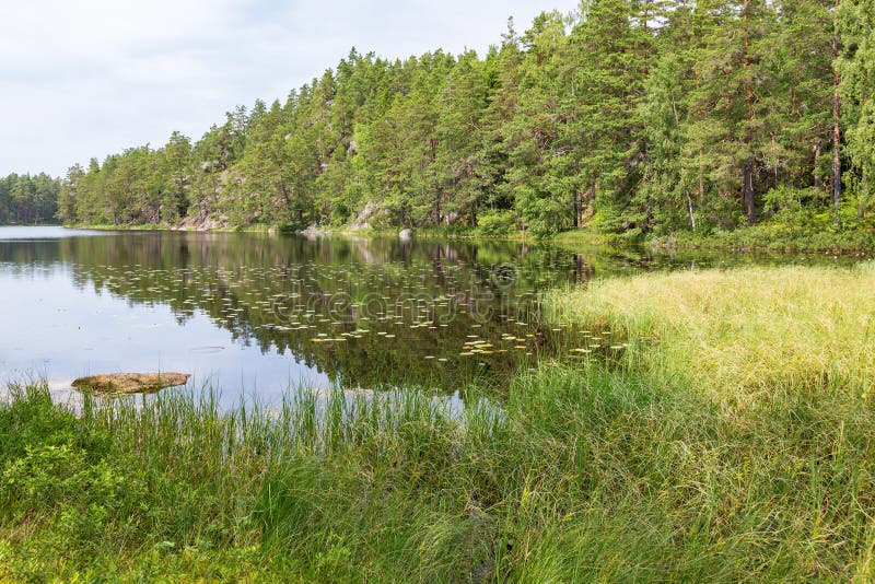 Paesaggio della foresta e del lago fotografia stock libera da diritti Paesaggio della foresta e del lago fotografia stock libera da diritti