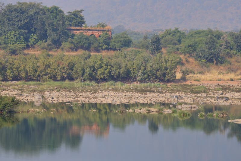 Paesaggio della riserva della tigre di panna, Madhya Pradesh, India fotografie stock libere da diritti Paesaggio della riserva della tigre di panna, Madhya Pradesh, India fotografie stock libere da diritti