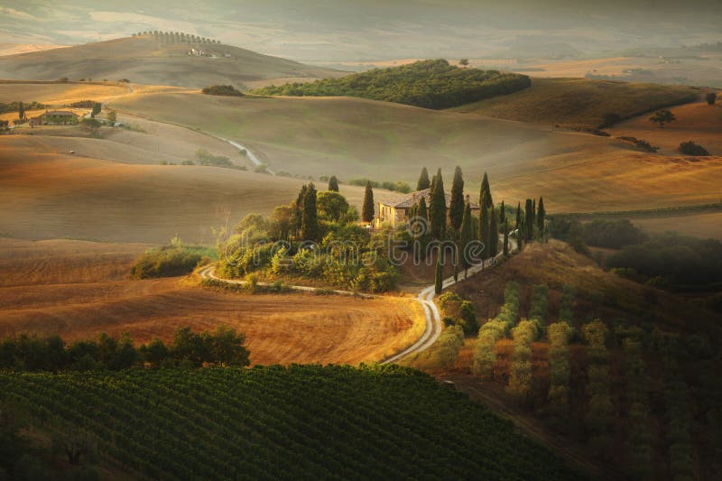 Paesaggio della Toscana di alba immagine stock Paesaggio della Toscana di alba immagine stock