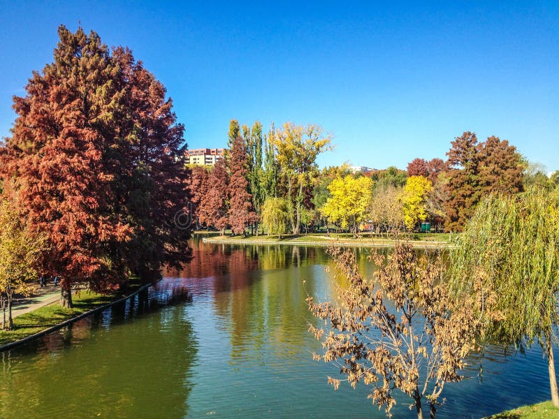 Paesaggio di autunno immagine stock libera da diritti Paesaggio di autunno immagine stock libera da diritti