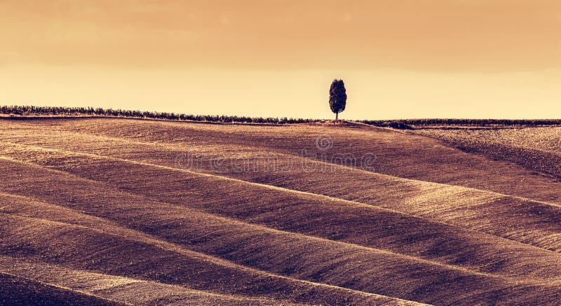 Paesaggio di autunno dei campi della Toscana, panorama, Italia Stagione della raccolta fotografia stock Paesaggio di autunno dei campi della Toscana, panorama, Italia Stagione della raccolta fotografia stock